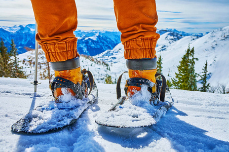 萨尔茨卡姆,埃本西,费尔科格尔高原上的雪鞋照片