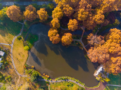 旅行 植物 风景 公园 河岸 武汉 全景图 反射 花园 鸟瞰图