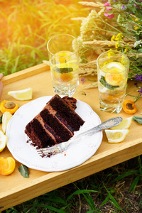 Summer picnic, a slice of chocolate cake and a cooling lemonade 