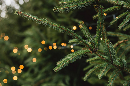 圣诞户外背景冷杉树枝和灯光模糊的博克。背景为散焦的圣诞灯和装饰品。