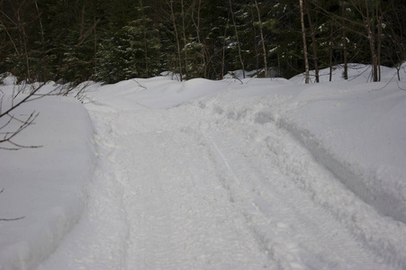 穿过森林的雪路。