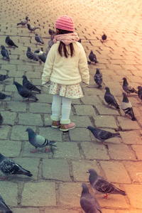 Little girl amid grey pigeons live in large groups in urban 