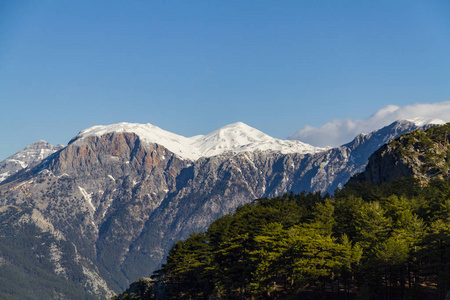 土耳其山顶雪山森林