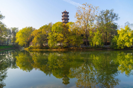 湖北 汉口 绿色植物 植物 自然 公园 河岸 蓝天 迷人的