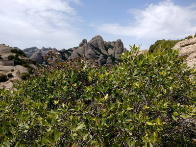 旅行 公园 夏天 高的 徒步旅行 天空 岩石 小山 森林