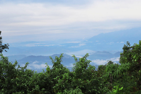 美丽的 旅行 森林 旅游业 自然 风景 天空 小山 植物