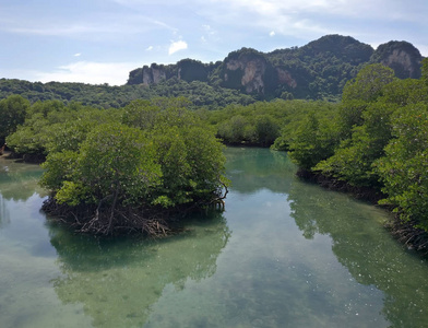 小山 环境 乡村 风景 岩石 夏天 森林 天空 旅行 美丽的