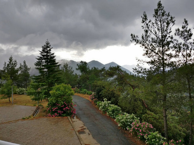 风景 旅游业 美丽的 旅行 松木 公园 山谷 自然 岩石