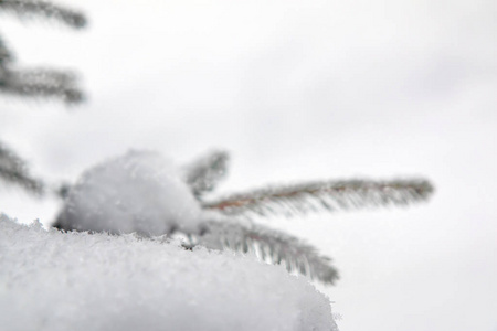 降雪 圣诞节 寒冷的 冬天 冰冷的 美丽的 天空 雪花 鳞片