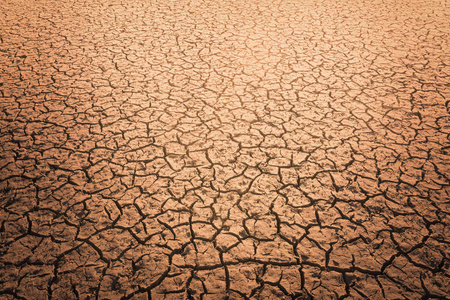 全球变暖对太阳裂缝土壤的影响和所有动植物的消失。