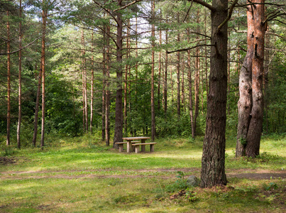 夏季森林中的带桌木凳