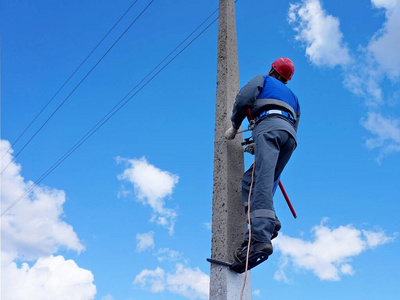 猴子爬电线杆图片