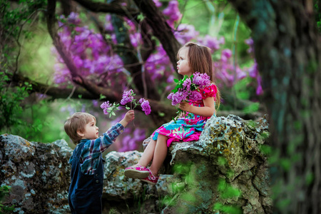 一个小男孩和一个女孩在森林里散步，一个男孩收集一束丁香花送给他的妹妹