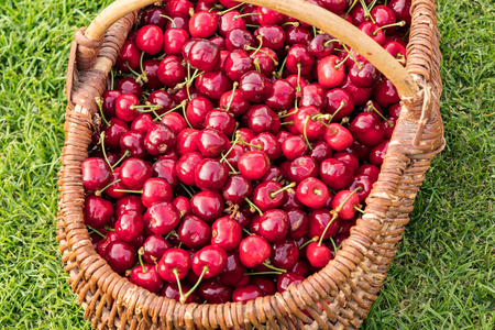 wicker basket placed on the grass and filled with beautiful red 