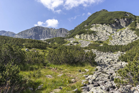 保加利亚瑞拉山骆驼峰