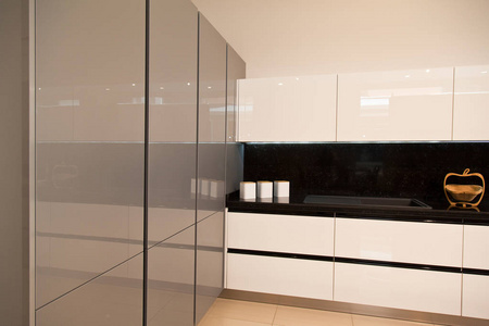 豪华现代厨房白灰色橱柜内部