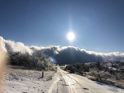 冬季景观背景，树木白霜，积雪。