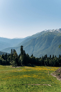 阳光明媚的山景