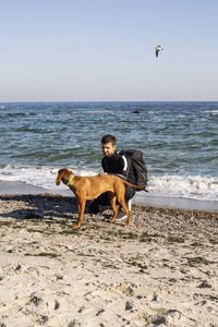 海洋 夏天 友谊 在一起 运动服 海滩 外部 犬科动物 可爱极了