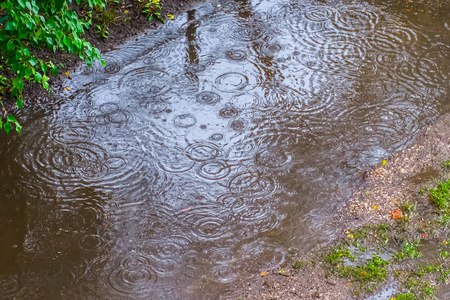 水坑表面的雨滴形成的圆圈。