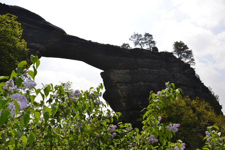 夏天 乡村 废墟 风景 楼梯 自然 森林 公园 建筑学 岩石