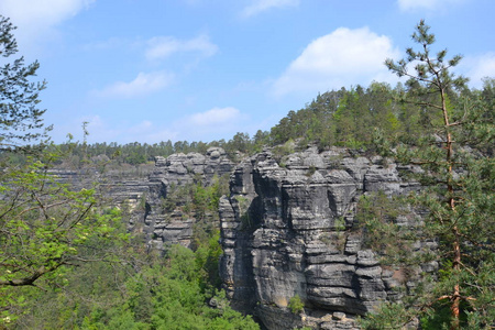 楼梯 乡村 自然 风景 公园 夏天 建筑学 台阶 森林 古老的