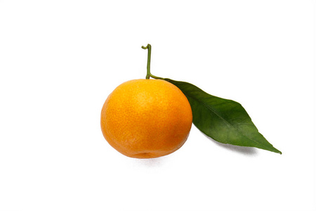 橘子叶孤立在白色背景特写。