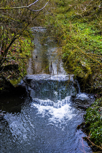 流动的 公园 自然 瀑布 旅行 风景 假期 流动 植物 森林