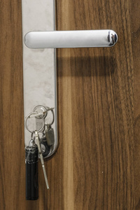 入口 手柄 房间 锁孔 出口 建筑学 金属 保护 木材 旋钮