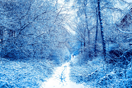 英国英国一月下雪图片