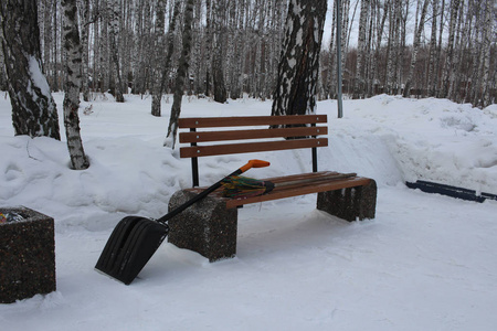 季节 场景 风景 公园 寒冷的 一月 自然 冬天 长凳 美丽的