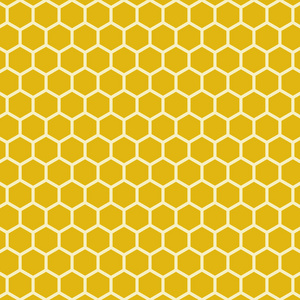蜂巢网格图片