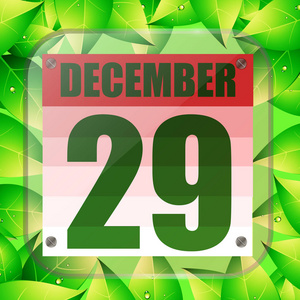 12月29日图标。计划重要的一天。带绿叶的假日横幅。十二月二十九日图标。