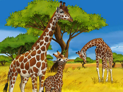 长颈鹿一家在草地上吃的卡通狩猎场景-儿童插图照片