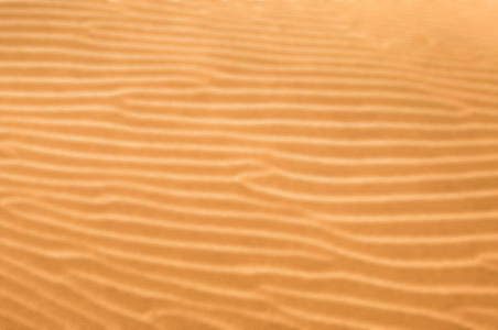 摄影 海滩 乐趣 复制空间 旅行 沙丘 海岸 米色 特写镜头