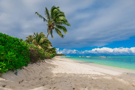 Luxury beach with white sand, palms and ocean. Tropical holiday 