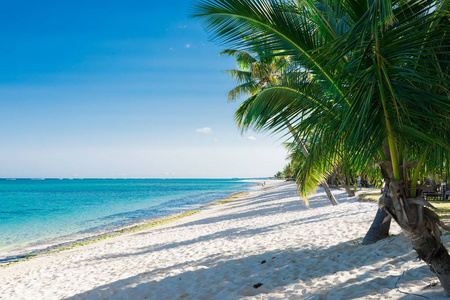 Luxury beach with white sand, palms and ocean. Tropical holiday 