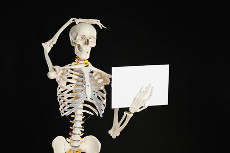 学习 纸张 脊柱 医学 颜色 学院 教育 人类学 骨骼 嘲弄