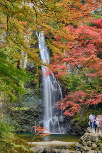 斜坡 大阪 米诺 外部 郊区 追踪 树叶 放松 瀑布 花园