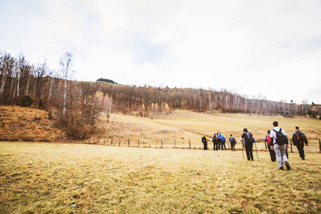 Hiking Group Of People Walking In Nature 