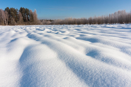 一月 风景 自然 天空 季节 寒冷的 冷冰冰的 十二月 森林