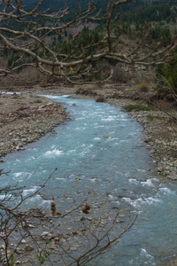 自然 环境 海岸 旅游业 岩石 流动 地标 公园 欧洲 森林