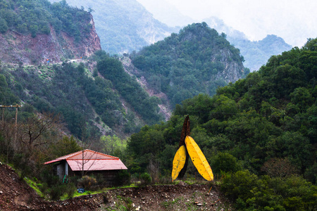 地标 房子 自然 美丽的 假期 风景 国家的 建筑 街道