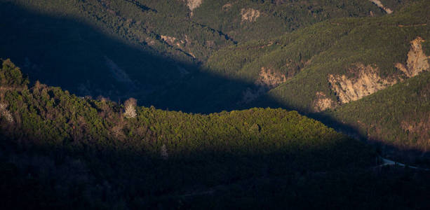 小山 日落 环境 森林 天空 场景 风景 旅游业 自然 美丽的