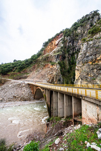 公路 国家的 自然 环境 夏天 旅行 美丽的 风景 公园