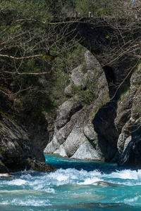 假期 夏天 海洋 地中海 公园 风景 旅行 森林 旅游业