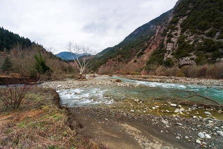 美丽的 森林 公园 旅行 环境 旅游业 欧洲 流动 天空