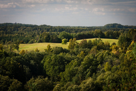 领域 季节 自然 乡村 公园 环境 夏天 天空 落下 欧洲