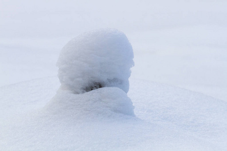 冰冷的 白霜 一月 寒冷的 风景 雪花 晶体 特写镜头 自然