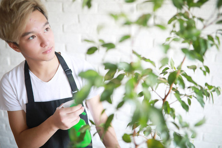 年轻的亚洲男孩照顾室内植物